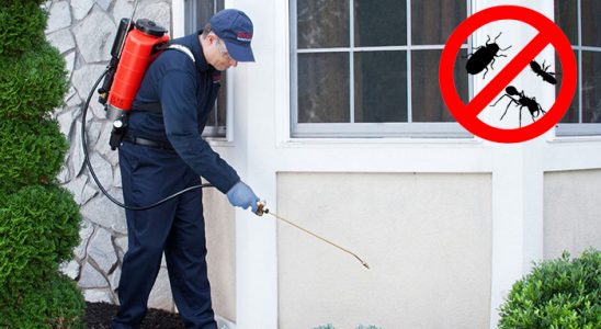 Bafra Akrep İlaçlama böcek ilaçlama ve haşere kontrolü — ilaclama-tr.com